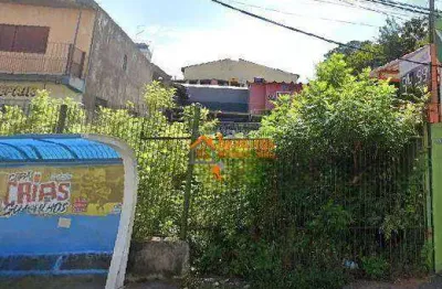 Terreno para alugar, 314 m² por r$ 3.500/mês - vila nova bonsucesso - guarulhos/sp