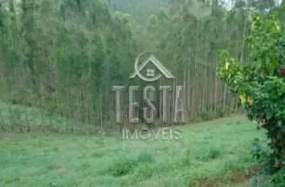 Fazenda à venda na Vila Unidos, São José dos Campos 