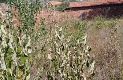 Terreno à venda na Av Oswaldo Pacheco De Macedo, Centro, Sairé