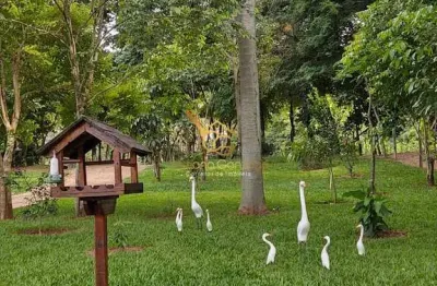 Chácara / sítio com 1 quarto à venda na Roseira, Mogi Guaçu 