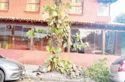Oportunidade sobrado à venda, 339 m² por r$ 1.500.000 - campo grande - santos/sp