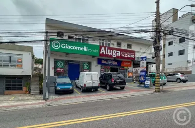 Amplo espaço para o seu negócio crescer em florianópolis