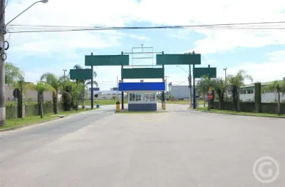 Barracão / Galpão / Depósito para alugar na Rua Romalino João da Rosa, Brejarú, Palhoça