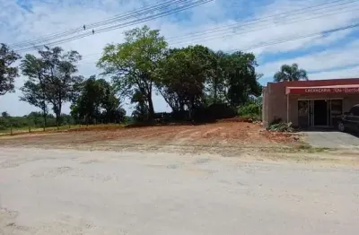 Terreno à venda na Rua Das Figueiras, 2001, Itacolomi, Balneário Piçarras