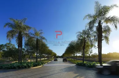 Terreno à venda na Chã De Palmeira, Centro, Bananeiras