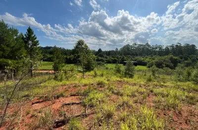 Terreno à venda na Rodovia BR 116, Parque Eldorado, Eldorado do Sul