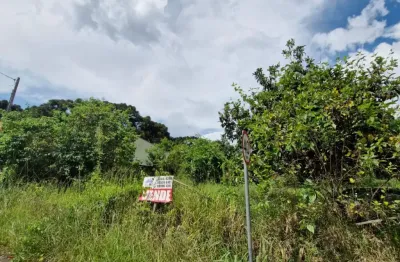 Terreno à venda na Rua do Carvalho, 432, São Dimas, Colombo