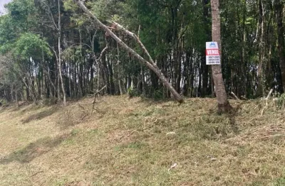 Terreno à venda na Rua José Strapasson, 0, Santa Gema, Colombo