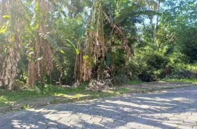 Terreno à venda na rua emílio buerger, fidélis, blumenau por r$ 250.000