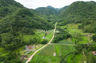 Terreno à venda na rua ribeirão gustmann, testo alto, pomerode por r$ 950.000