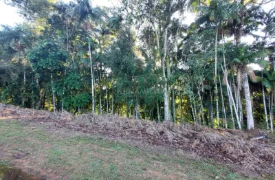 Terreno à venda na rua arnoldo lübke, 09, velha, blumenau por r$ 449.000