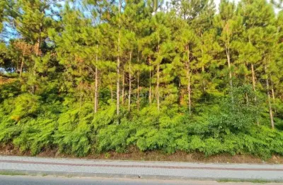 Terreno à venda na avenida 21 de janeiro, centro, pomerode por r$ 2.800.000