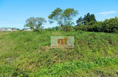 Terreno residencial à venda, Est.Baln. Antonio Novaes, Peruíbe.