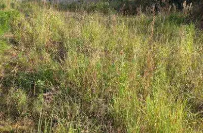 Terreno à venda, 250 m² por r$ 60.000,00 - balneário são joão batista iii - peruíbe/sp
