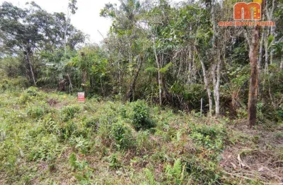 Terreno à venda, 300 m² por r$ 35.000,00 - cidade nova peruibe - peruíbe/sp