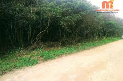 Terreno à venda, 5207 m² por r$ 60.000,00 - jardim das palmeiras - itanhaém/sp