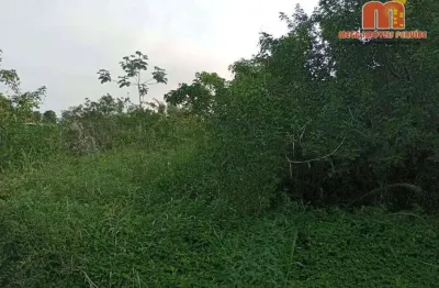 Terreno à venda, 1000 m² por R$ 150.000,00 - Estância São Marcos - Peruíbe/SP