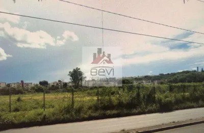 Área/terreno com 32.400m²,grande oportunidade bem aqui na bevi!