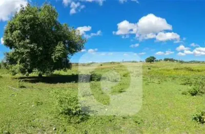 Fazenda perobas – oportunidade em araruama 52 alqueires