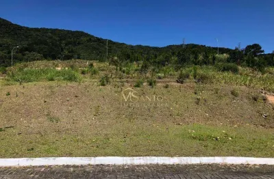 Terreno à venda, 457 m² por r$ 1.315.000,00 - itacorubi - florianópolis/sc