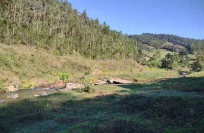 Terreno à venda, 169400 m² por r$ 650.000,00 - centro - são martinho/sc