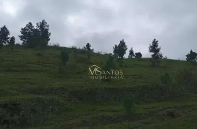Fazenda à venda, 218000 m² por r$ 990.000,00 - taquaraçutuba - imaruí/sc
