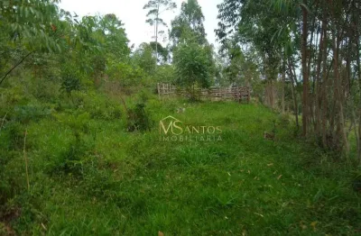Sítio à venda, 150000 m² por r$ 650.000,00 - taquaraçutuba - imaruí/sc