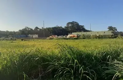 Terreno à venda, 8232 m² por r$ 13.994.000,00 - vargem grande - florianópolis/sc