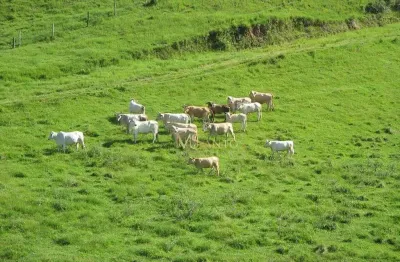 Fazenda à venda, 640000 m² por r$ 3.710.000,00 - aratingauba - imaruí/sc
