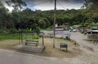 Terreno à venda, 7500 m² por r$ 12.000.000,00 - jurerê - florianópolis/sc