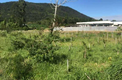 Terreno à venda, 5000 m² por r$ 2.700.000,00 - santo antônio de lisboa - florianópolis/sc