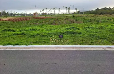 Terreno à venda, 459 m² por r$ 550.000,00 - vargem grande - florianópolis/sc