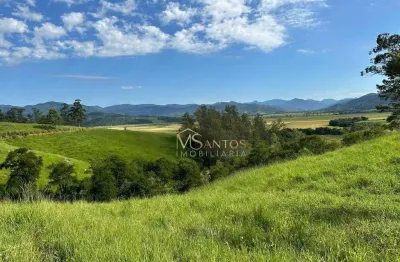 Fazenda à venda, 270000 m² por r$ 1.500.000,00 - interior  - imaruí/sc