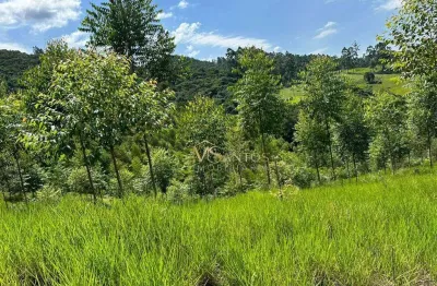 Fazenda à venda, 330000 m² por r$ 2.600.000,00 - aratingauba - imaruí/sc
