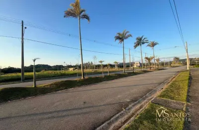 Terreno à venda, 618 m² por r$ 639.012,00 - vargem do bom jesus - florianópolis/sc