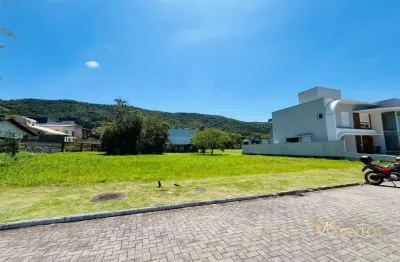 Terreno à venda, 494 m² por r$ 990.000 - ratones - florianópolis/sc