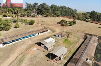 Granja campo verde, bairro do tatu, limeira-sp - 11,2758ha ou 5 alqueires