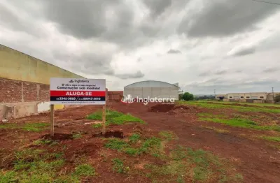 Terreno para alugar, 2400 m² - parque industrial buena vista - londrina/pr
