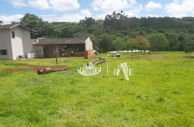 Chácara à venda, 20000 m² por r$ 1.700.000,00 -  distrito espírito santo - londrina/pr