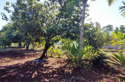 Chácara à venda, 20012 m² por r$ 1.200.000,00 - fazenda nata - londrina/pr