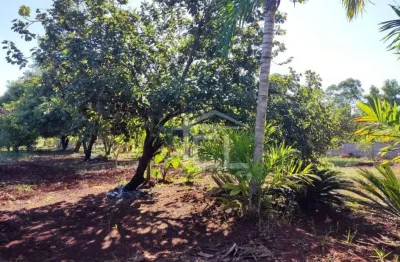 Chácara à venda, 20012 m² por r$ 1.200.000,00 - fazenda nata - londrina/pr
