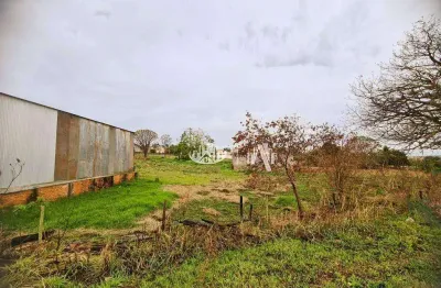 Terreno à venda, 2135 m² por r$ 600.000,00 - jardim maria casagrande favoreto - sertanópolis/pr