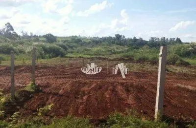 Chácara à venda, 4250 m² por r$ 450.000,00 - centro - jataizinho/pr