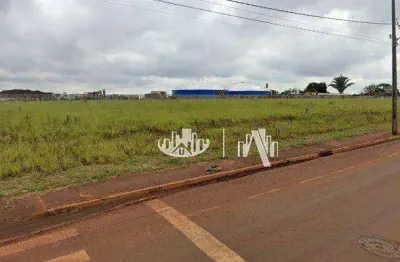 Terreno para alugar, 7000 m² - ouro branco - londrina/pr