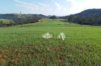 Sítio à venda, 212960 m² por r$ 2.000.000,00 - zona rural - tamarana/pr