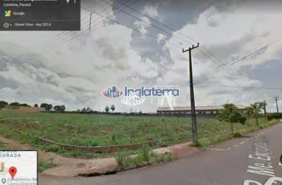 Terreno à venda, 6050 m² por r$ 6.000.000,00 - lagoa dourada - londrina/pr