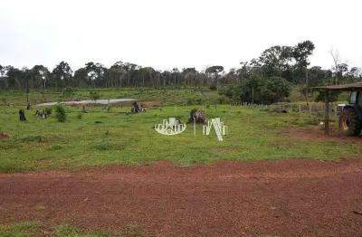 Fazenda à venda, 14520000 m² por r$ 18.200.000,00 - são francisco - óbidos/pa
