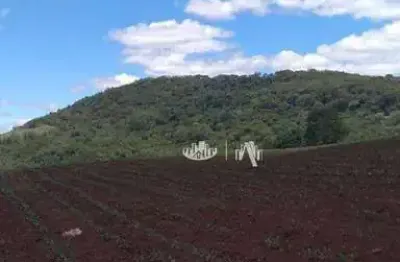 Sítio à venda, 145200 m² por r$ 1.200.000,00 - jardim ouro verde - guairaca/pr