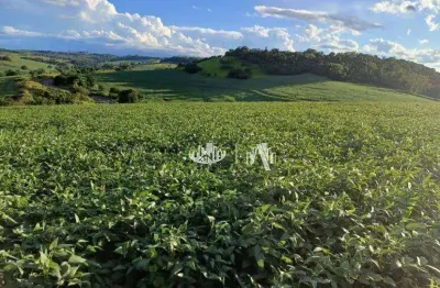Sítio à venda, 355740 m² por r$ 3.700.000,00 - rural - londrina/pr