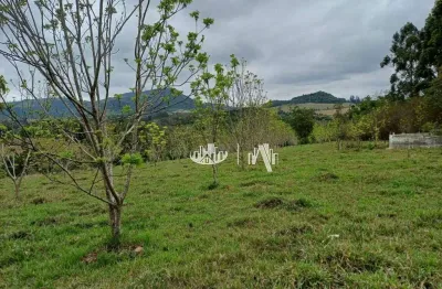 Chácara com 3 quartos  à venda, 62007 m² por r$ 550.000 - zona rural - tamarana/pr